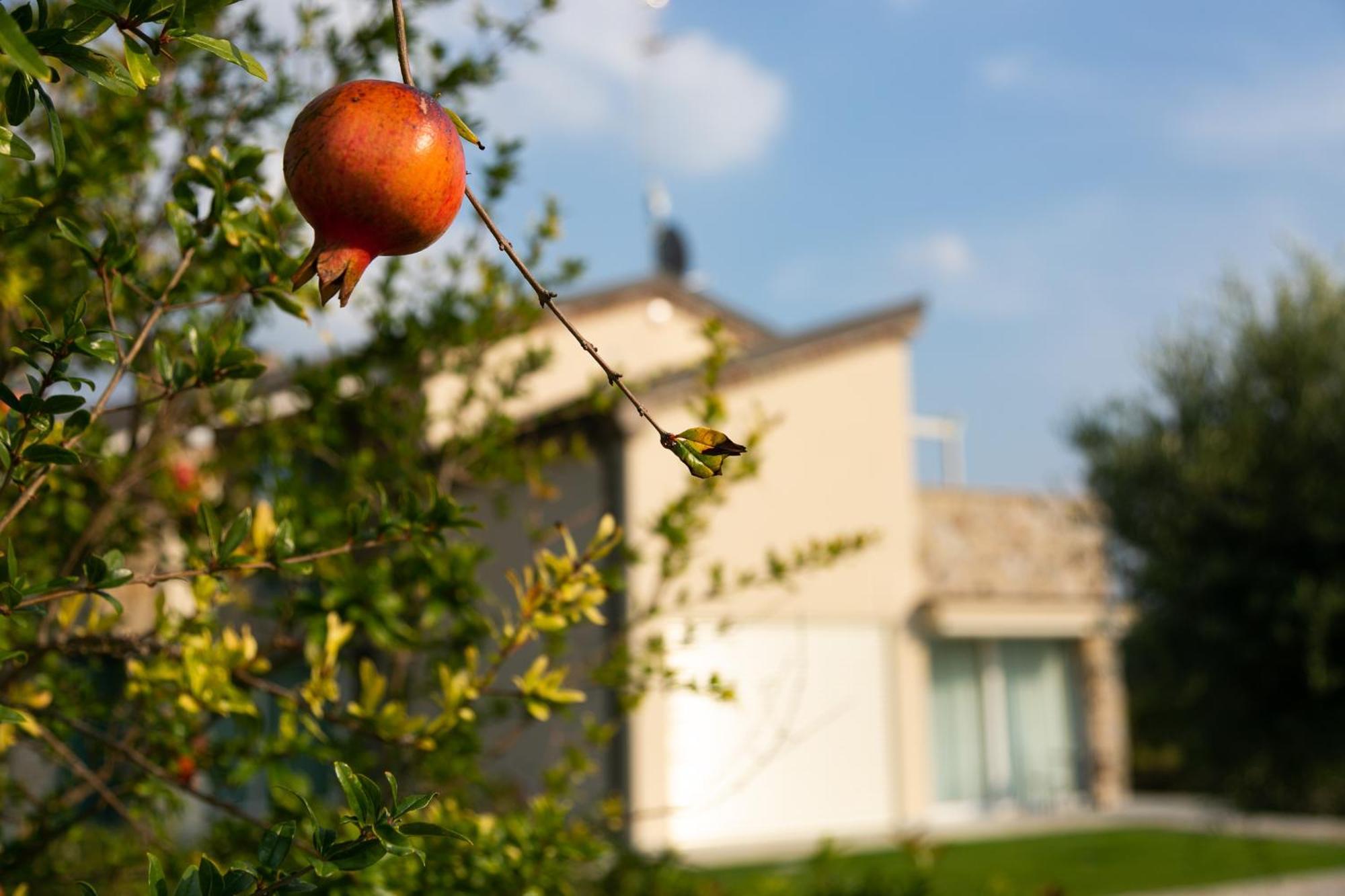 Aparthotel Casa Massaro Todeschini à Abano Terme Extérieur photo