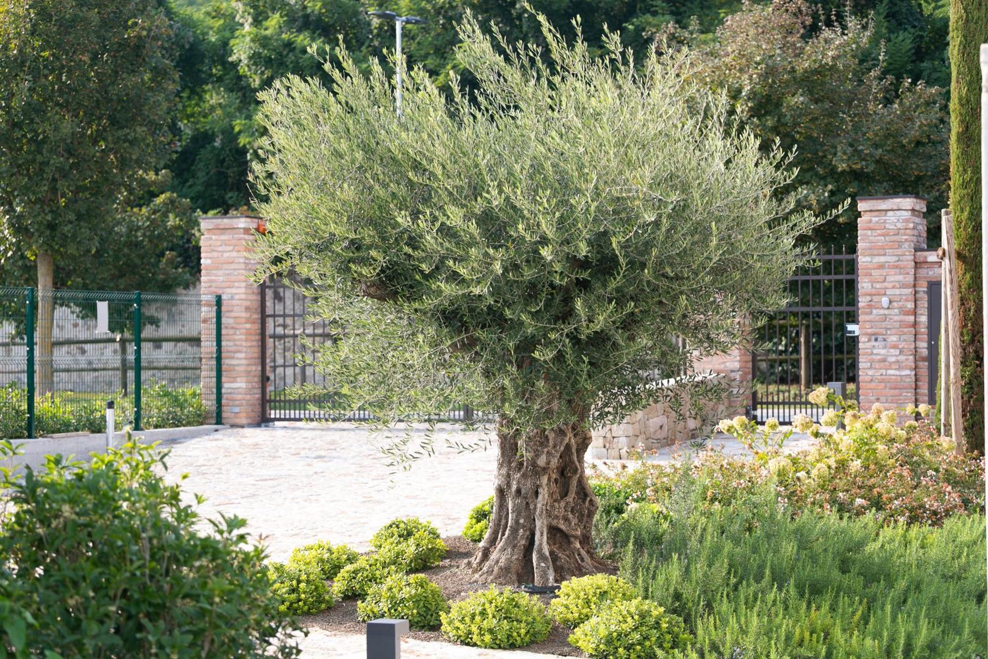 Aparthotel Casa Massaro Todeschini à Abano Terme Extérieur photo